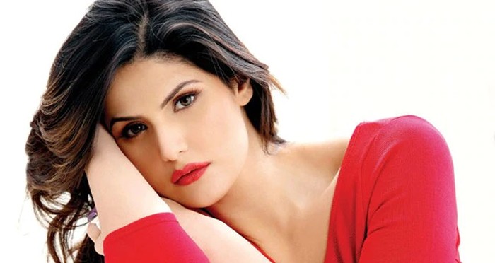 zarine khan new punjabi movie