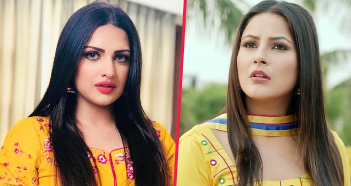 himanshi khurana big boss 13